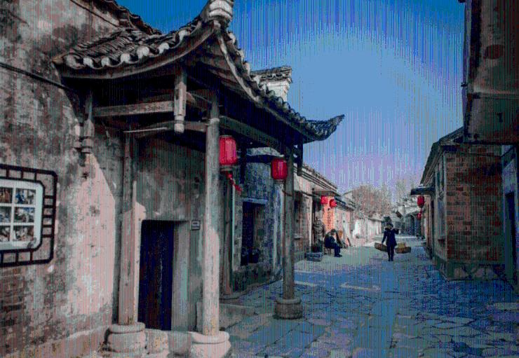 天堂鸟的养殖方法和注意事项-专业问答交流平台